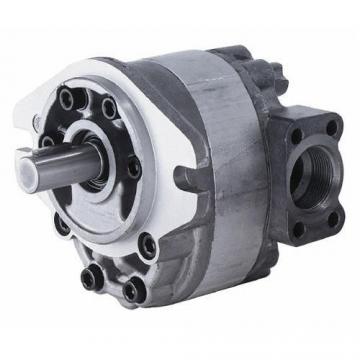 F12-080 F12-090 F12-110 F12-125 Hydraulic Motor F12 Piston Motor