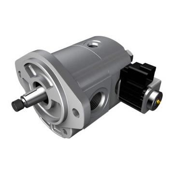 Magnetic Drive Power Gear Pump