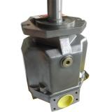 Rexroth A4vso Hydraulic Piston Pump with ISO9001 Approval