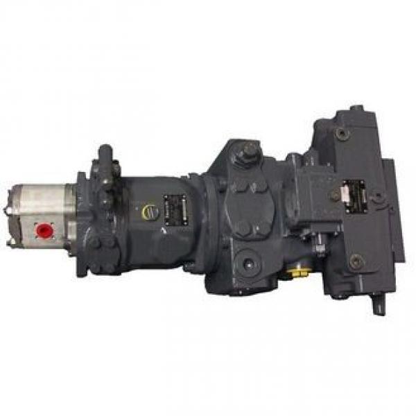 Rexroth hydraulic pump A10VD17 A10VD28 A10VD43 A10VD71valve plate #1 image