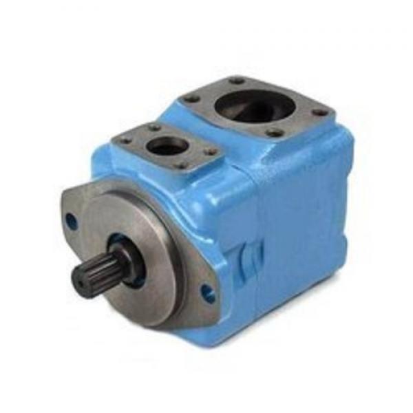 Yuken PV2r12-6-26-F-Reaa-40 13 Hydraulic Double Vane Pump with Good Quality #1 image