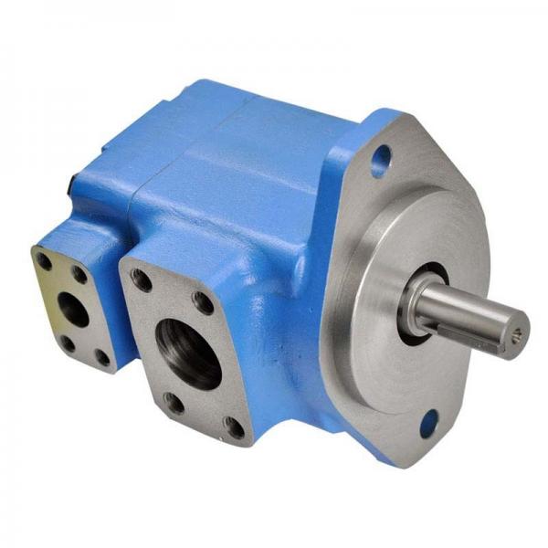 Hydraulic Vane Pump - V10*-**3*-**20 Vane Steering Pump #1 image