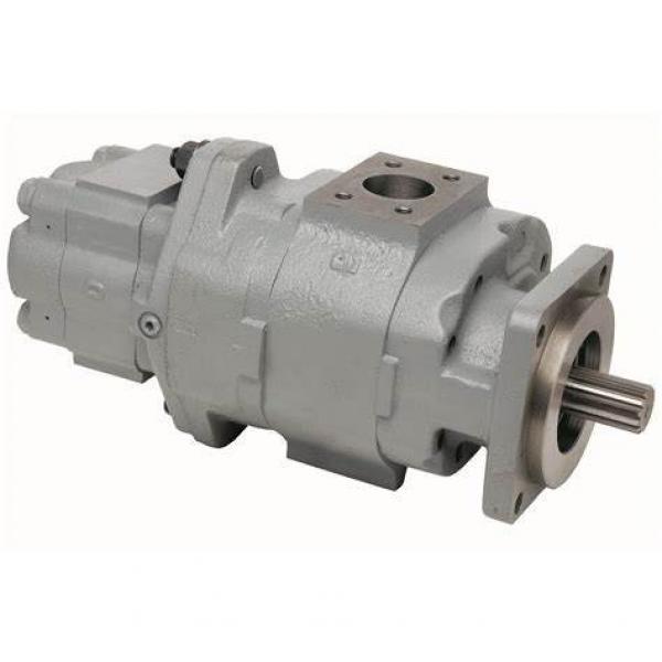 Parker M5BF 045 1N03 B1M 00000 52 Axial piston variable hydraulic pump motor ZX470 Fan Motor #1 image