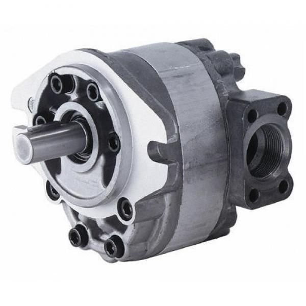 Small Gear Dc Motor Mini Pumping Oil Self-priming Drilling Water Pump #1 image