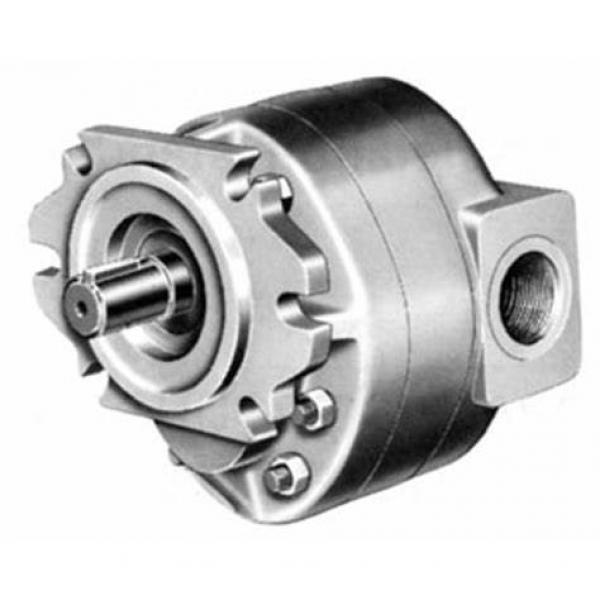 Replacement Denison T7b Series Hydraulic Vane Pump #1 image