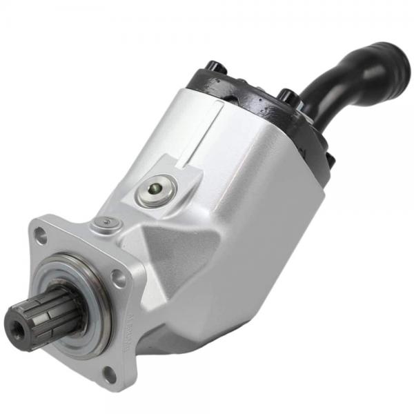 Parker Commercial Intertech Permco Metaris Gear Pump Gears Set and Shafts #1 image