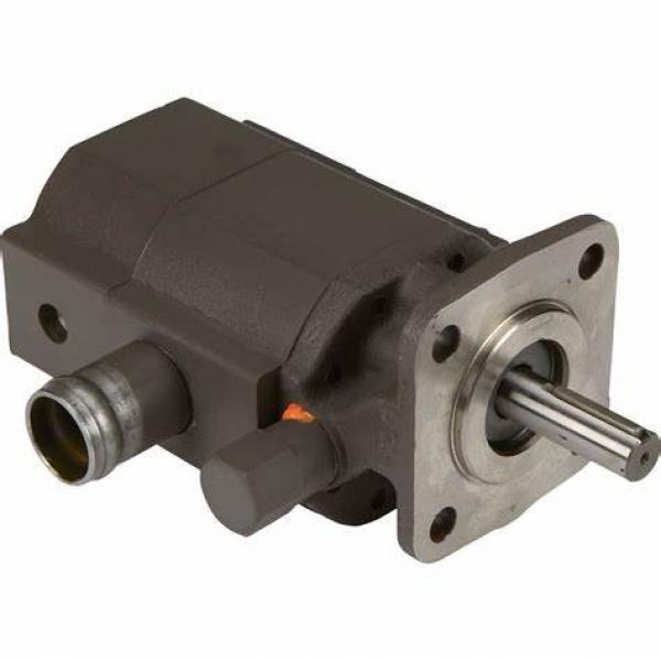 ^ 11 16 22 Gpm Two Stage Log Splitter Replacement Pump, 1" Pipe Inlet Port 3000 PSI 2-BOLT Gear Pump #1 image